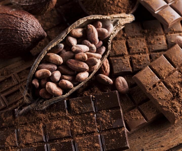 Fèves de cacao